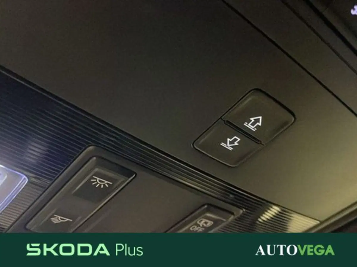Skoda Kamiq usata a Vicenza (15)