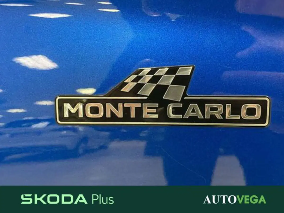 Skoda Kamiq usata a Vicenza (18)