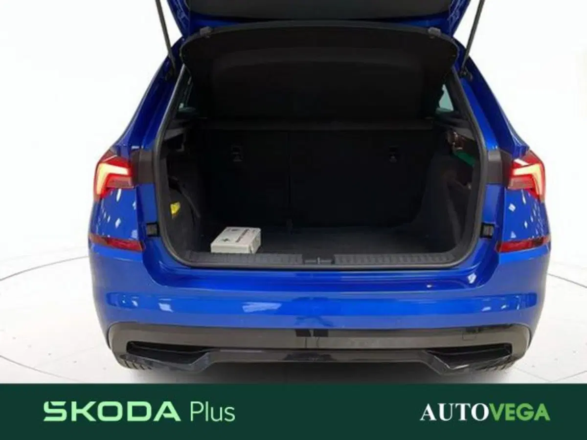 Skoda Kamiq usata a Vicenza (20)
