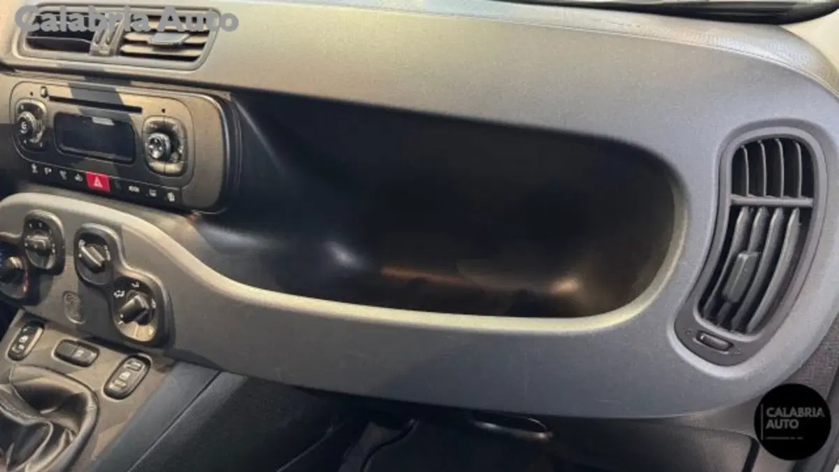 Fiat Panda usata a Reggio Calabria (16)