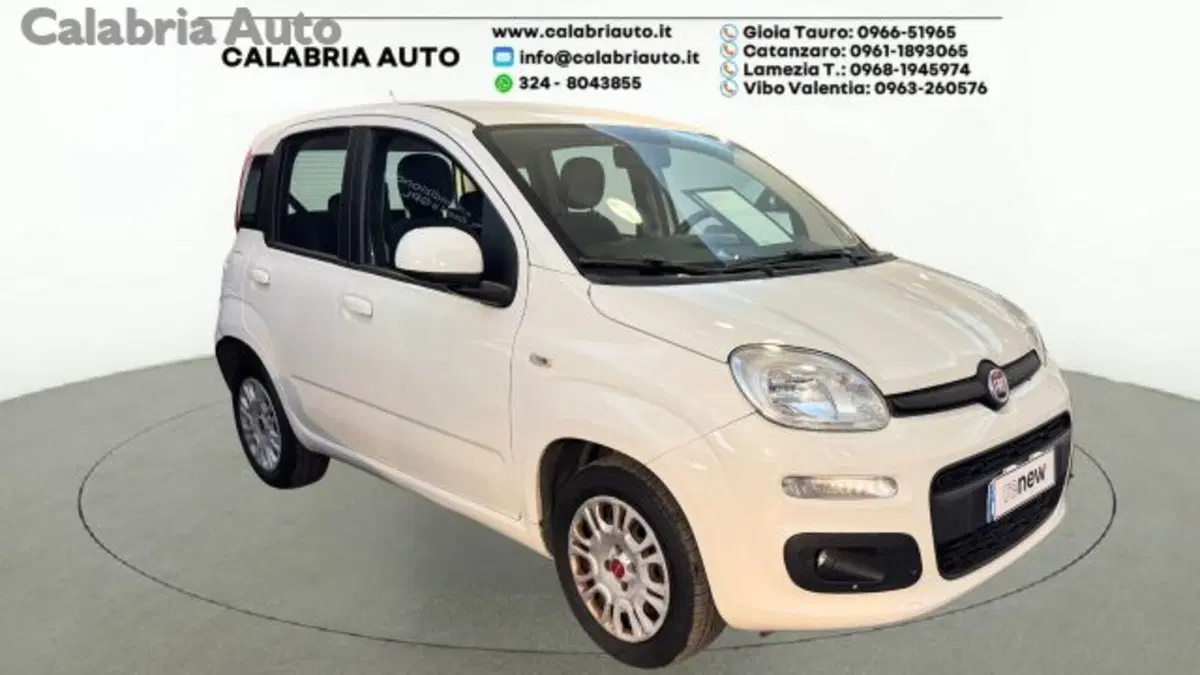 Fiat Panda usata a Reggio Calabria (2)