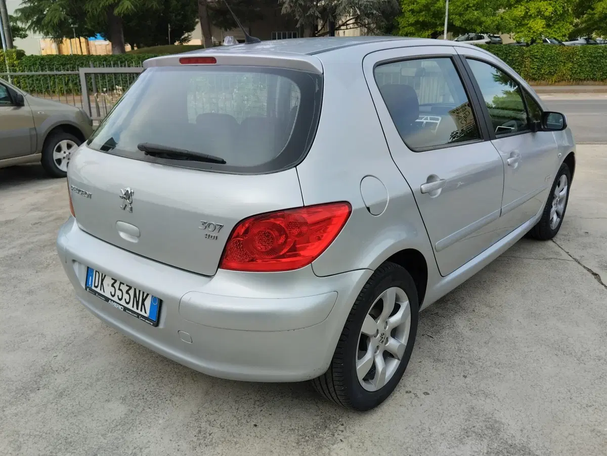 Peugeot 307 usata a Asti (4)