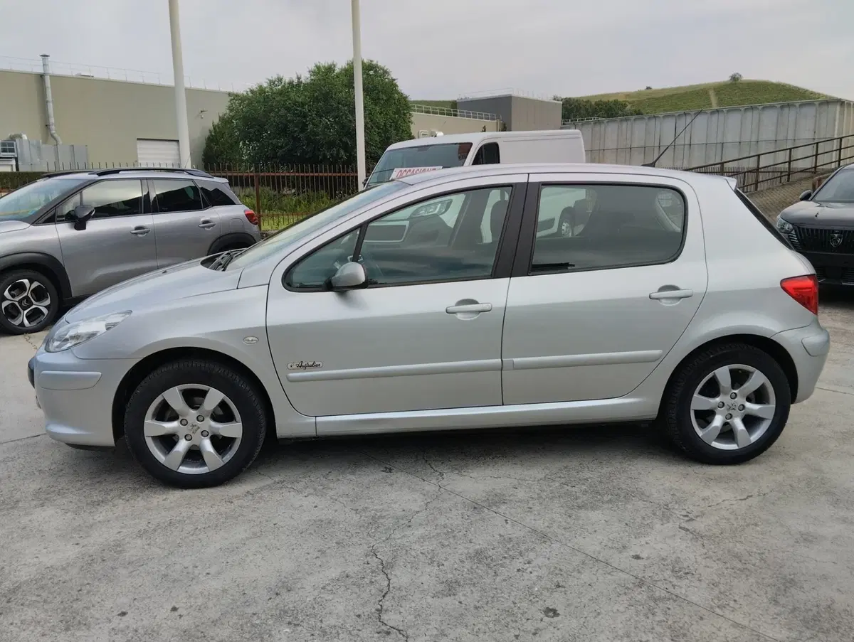 Peugeot 307 usata a Asti (6)