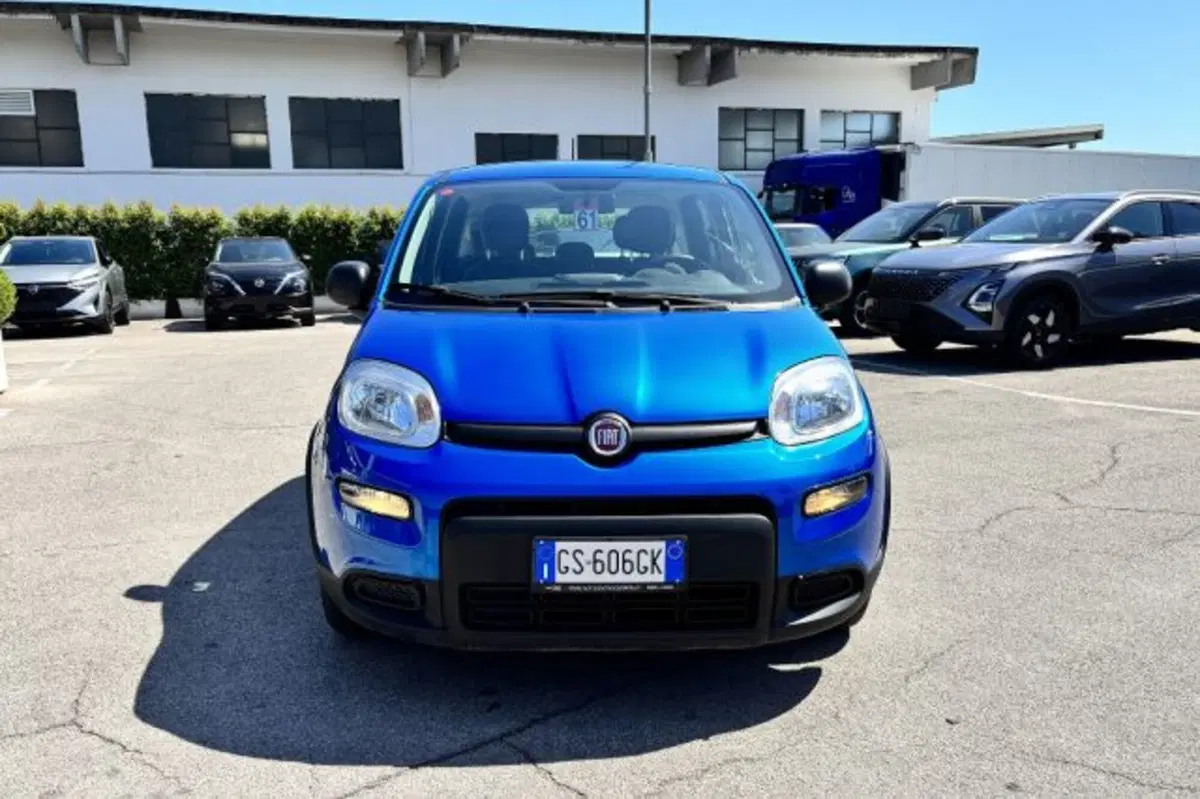 Fiat Panda usata a Latina (2)