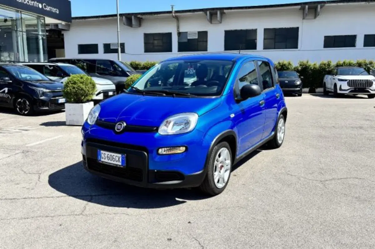 Fiat Panda usata a Latina (3)