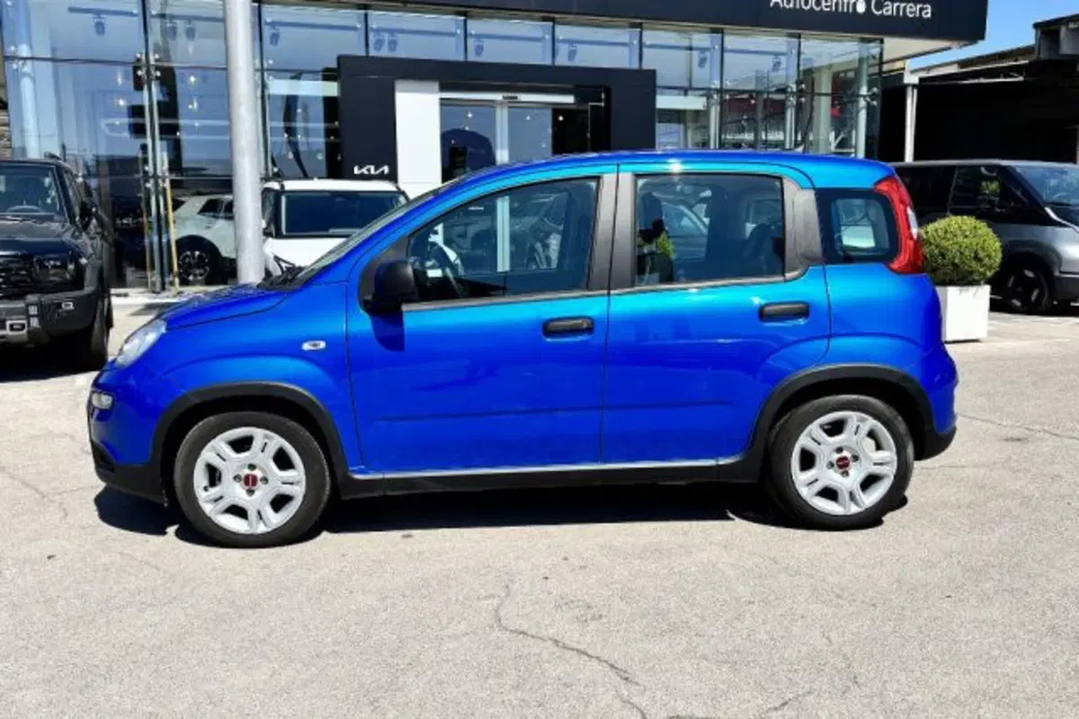 Fiat Panda usata a Latina (4)
