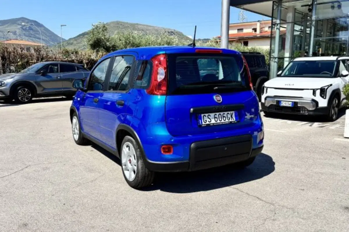 Fiat Panda usata a Latina (5)