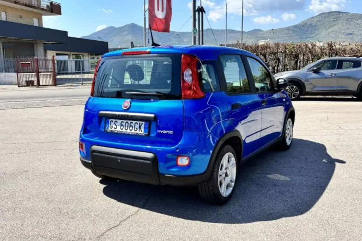 Fiat Panda usata a Latina (7)