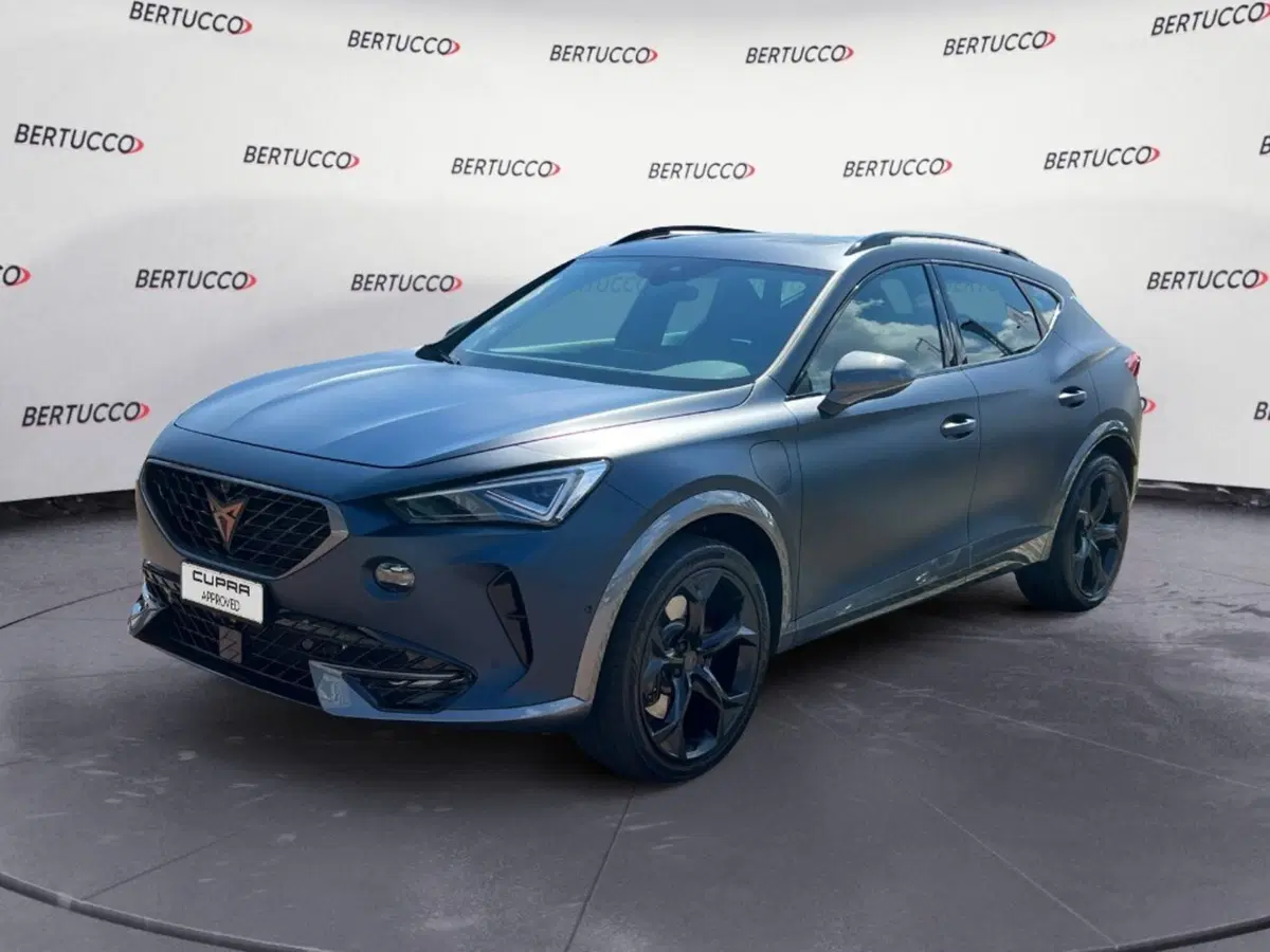 Cupra Formentor usata a Verona (2)