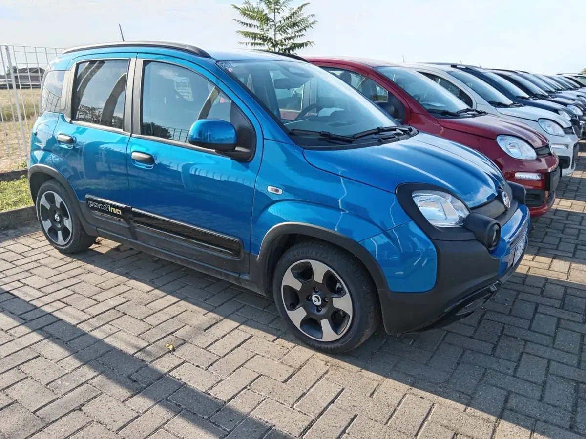 Fiat Panda Cross nuova a Alessandria (2)