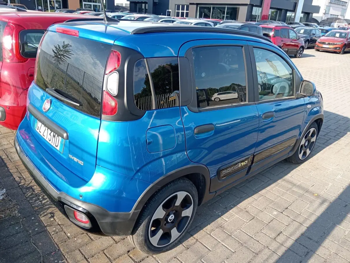 Fiat Panda Cross nuova a Alessandria (3)