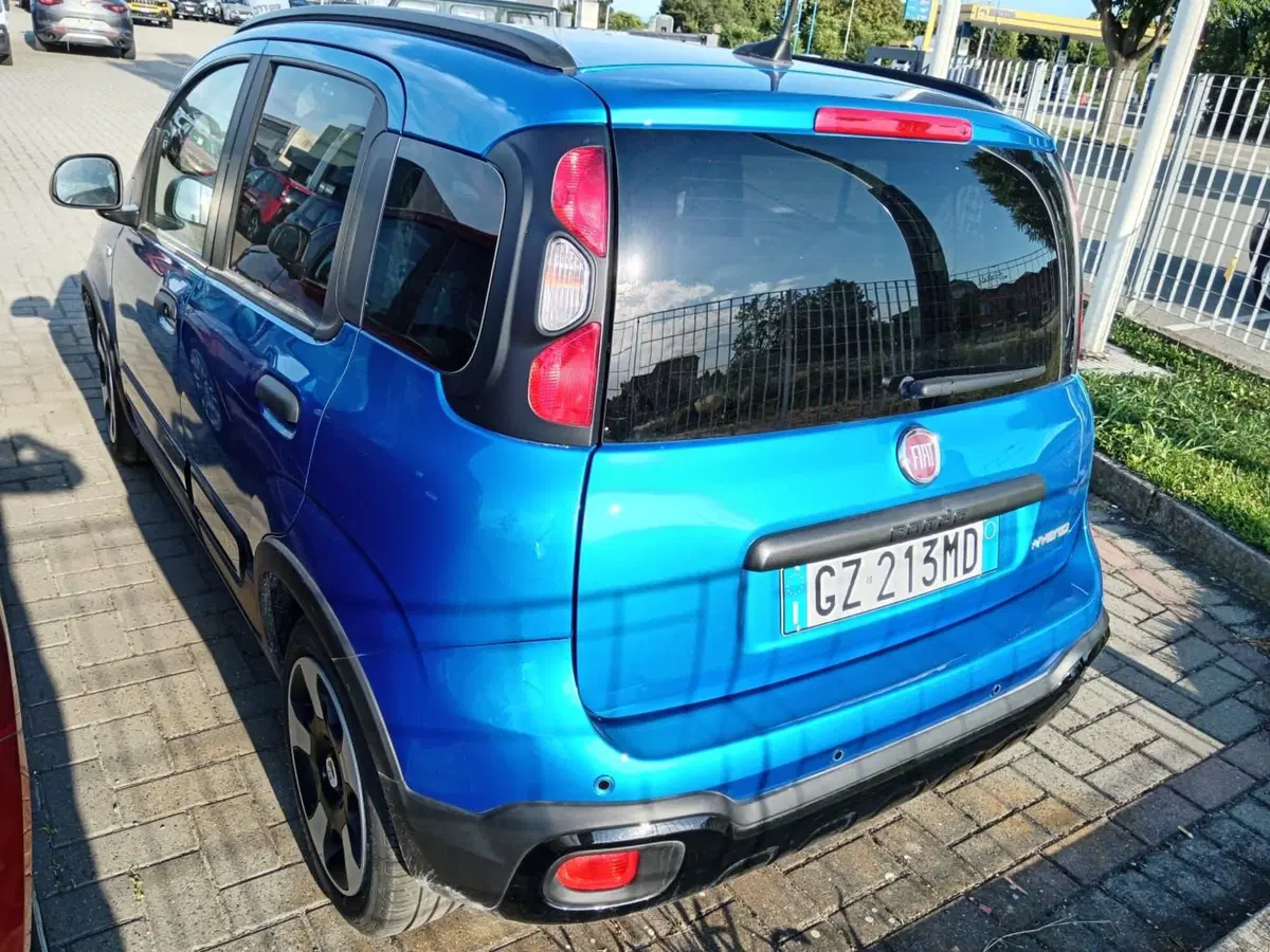 Fiat Panda Cross nuova a Alessandria (4)