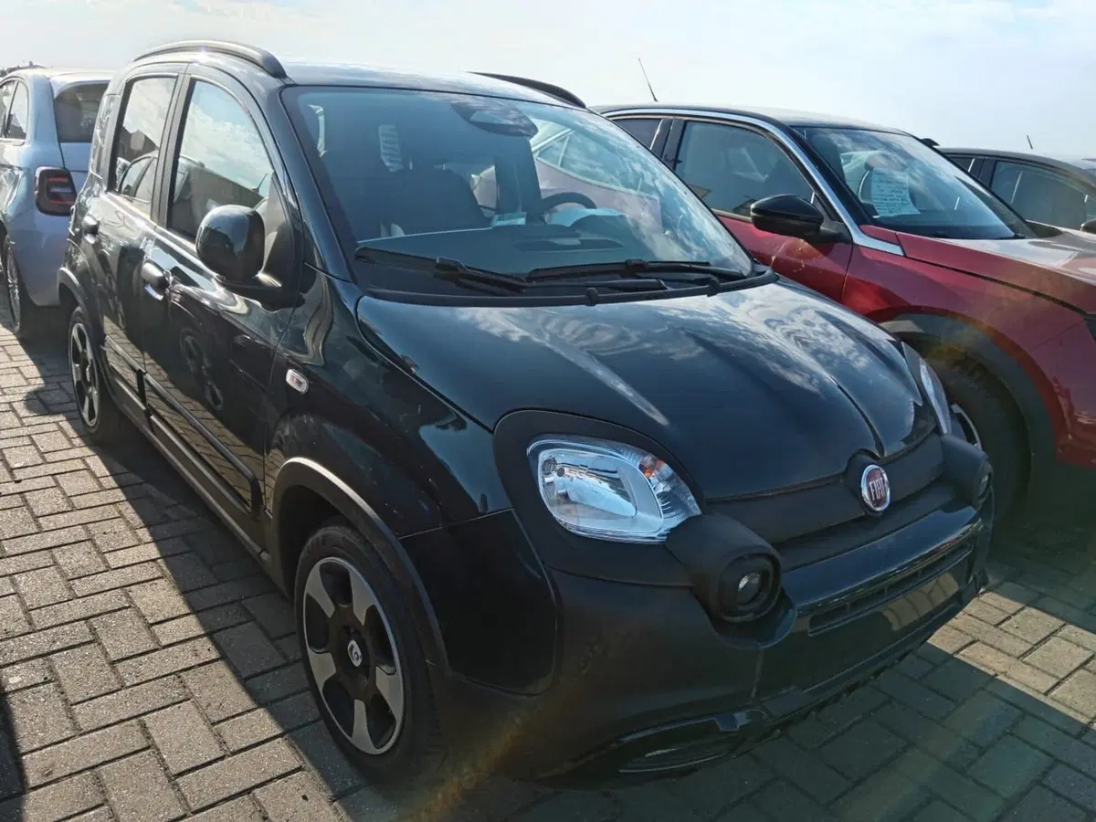 Fiat Pandina nuova a Alessandria (2)