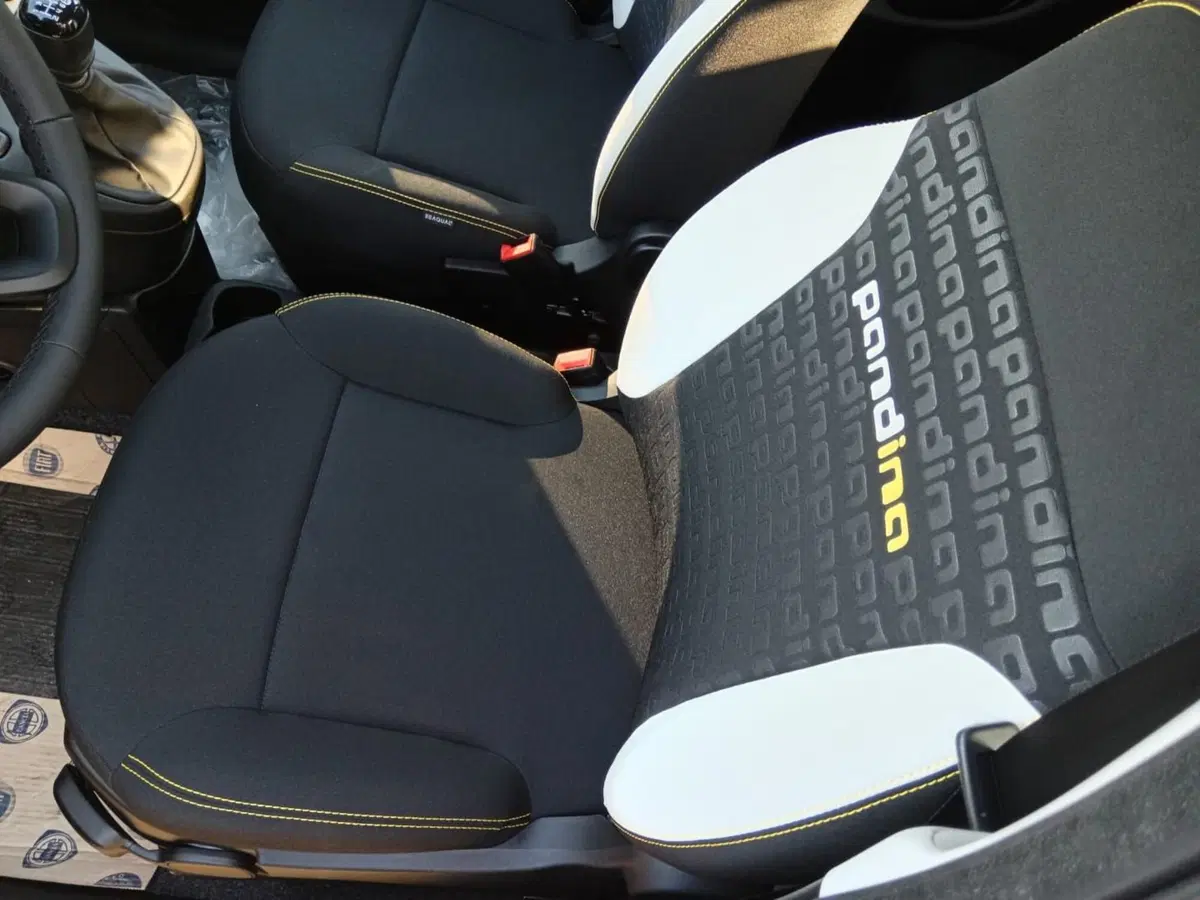 Fiat Pandina nuova a Alessandria (5)