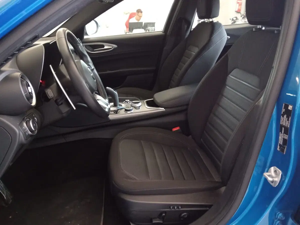 Alfa Romeo Giulia usata a Alessandria (11)