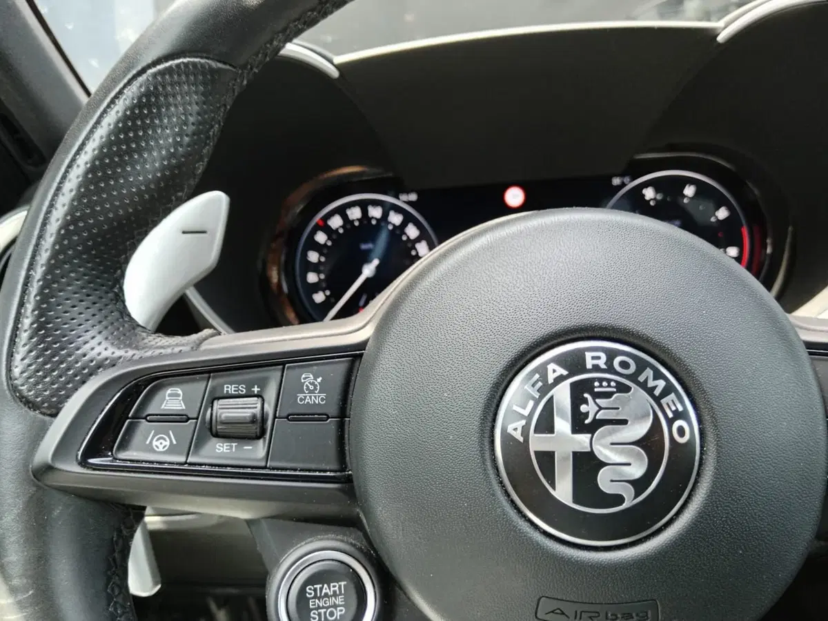 Alfa Romeo Giulia usata a Alessandria (16)