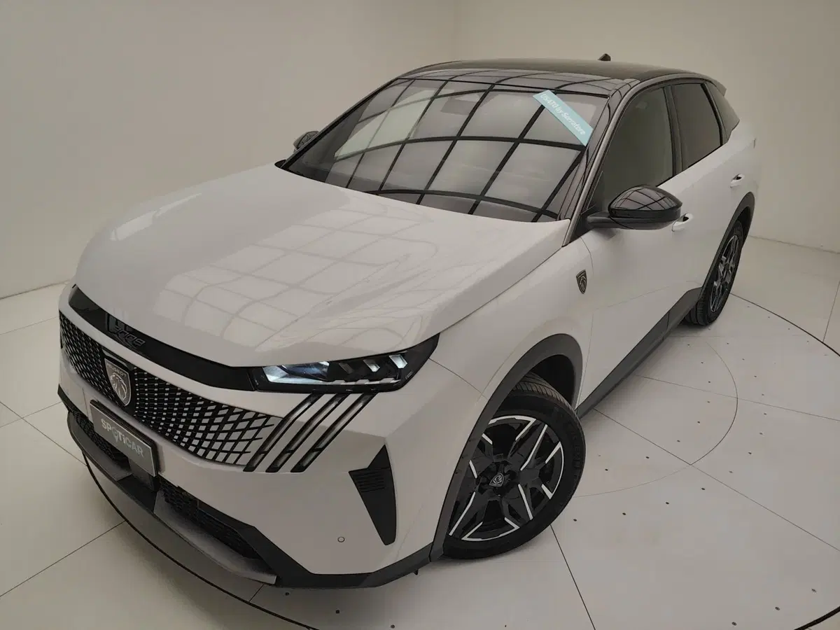 Peugeot 3008 usata a Como (15)