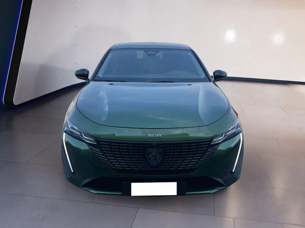 Peugeot 308 usata a Torino