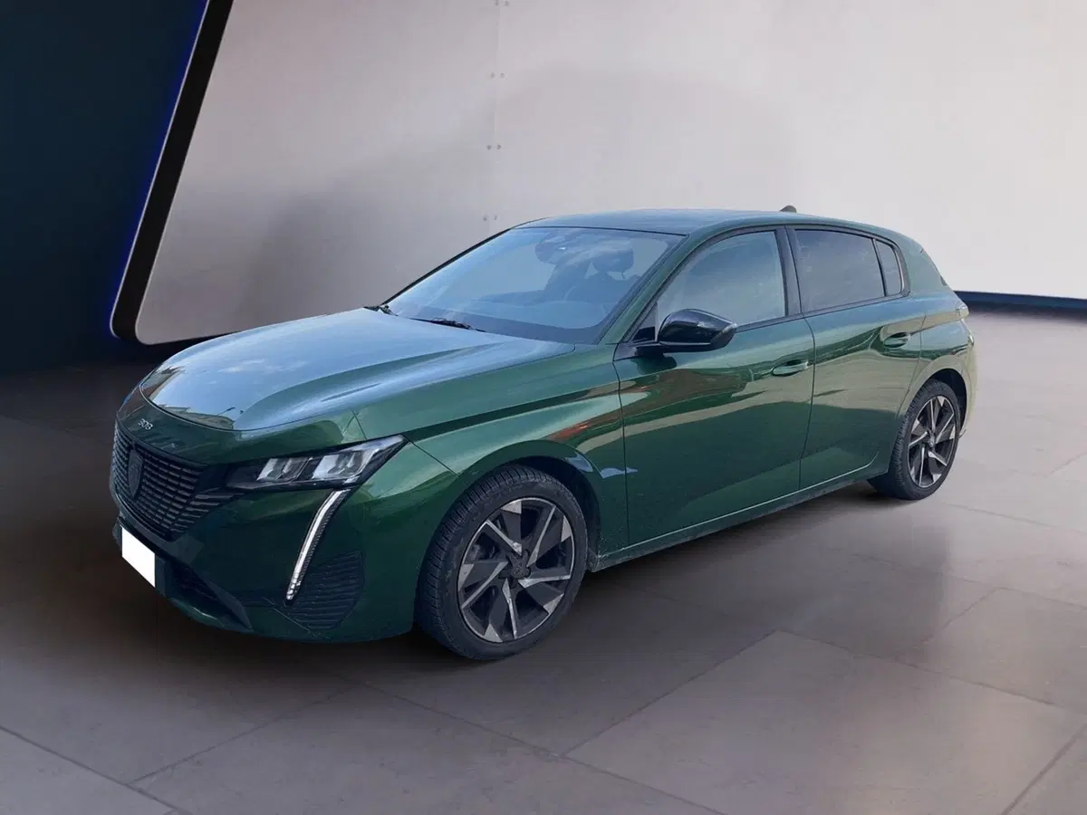 Peugeot 308 usata a Torino (3)