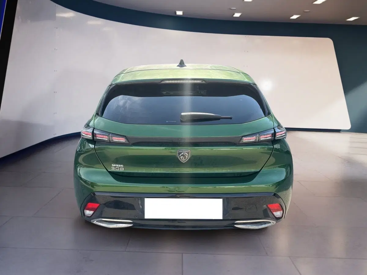 Peugeot 308 usata a Torino (5)