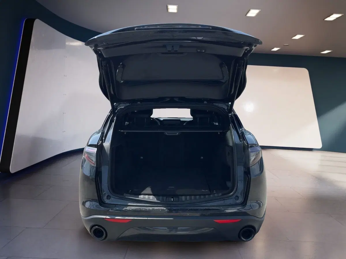 Alfa Romeo Stelvio usata a Torino (8)