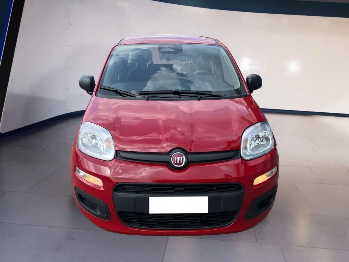 Fiat Pandina usata a Torino