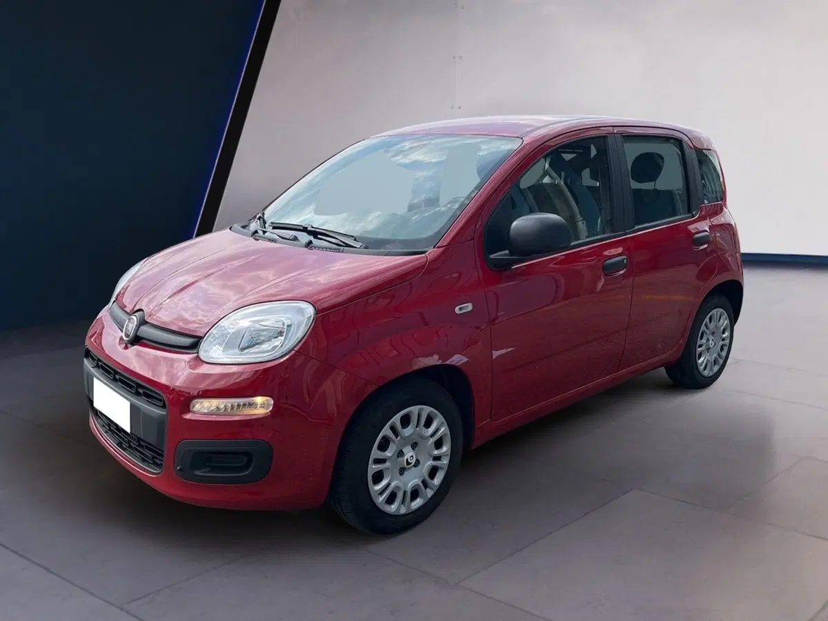 Fiat Pandina usata a Torino (2)