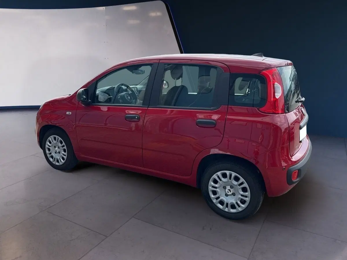 Fiat Pandina usata a Torino (3)