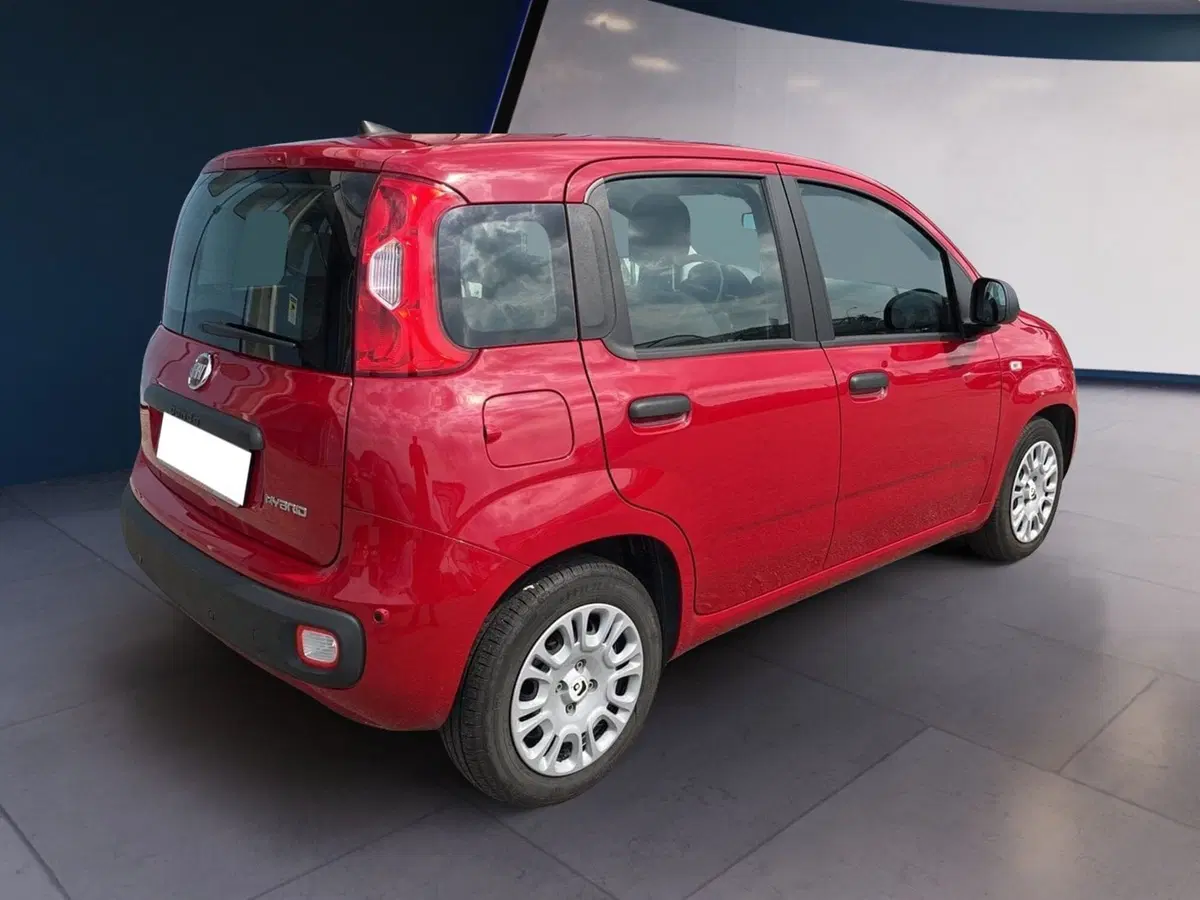 Fiat Pandina usata a Torino (5)