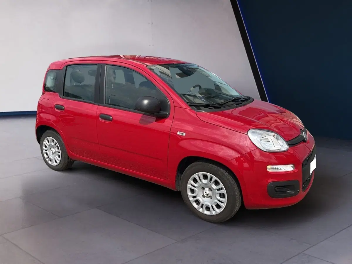 Fiat Pandina usata a Torino (6)