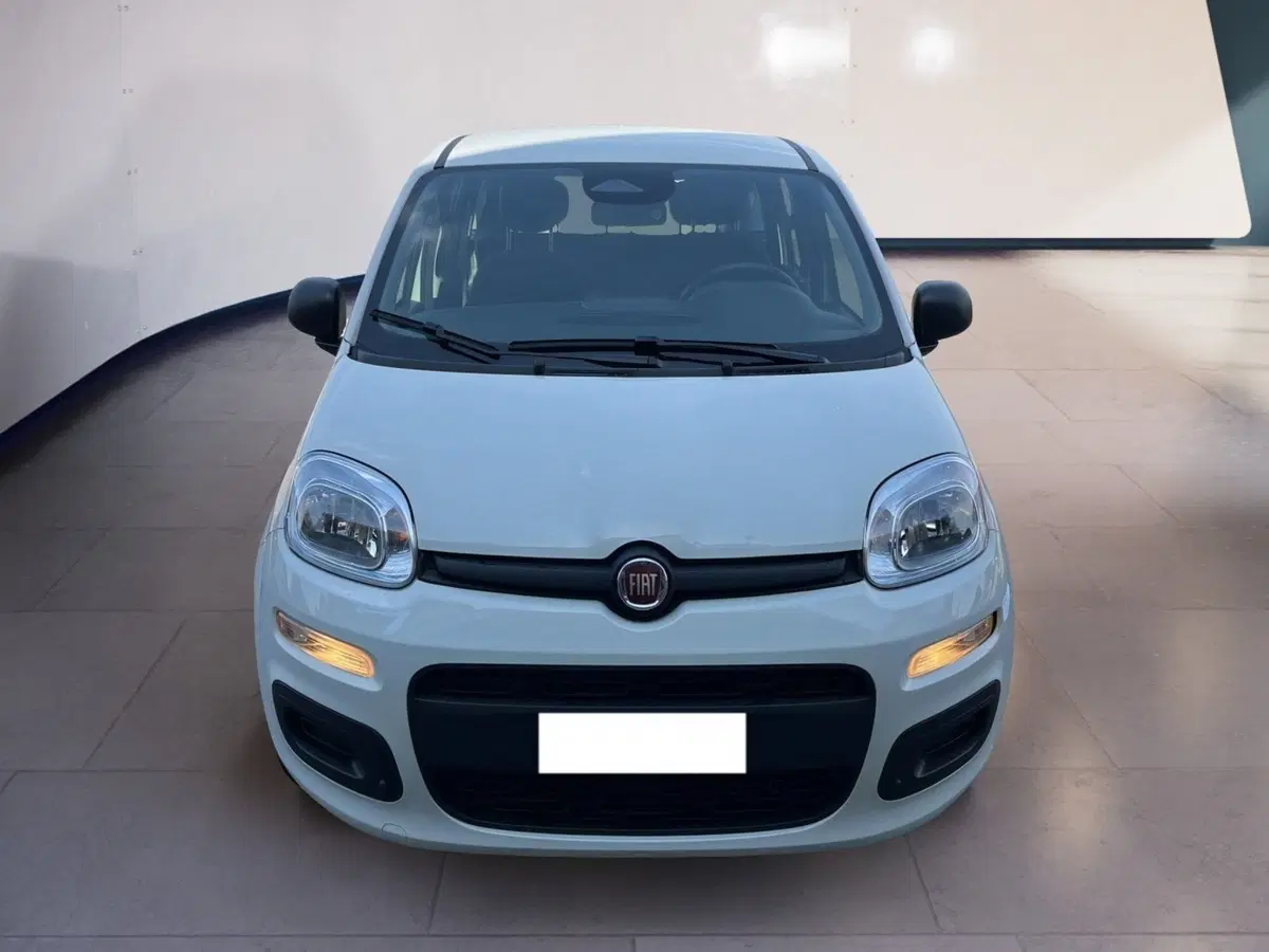 Fiat Pandina usata a Torino