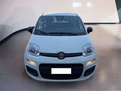 Fiat Pandina 1.0 firefly hybrid s&amp;s 70cv del 2025 usata a Torino