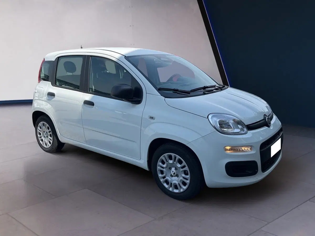 Fiat Pandina usata a Torino (2)