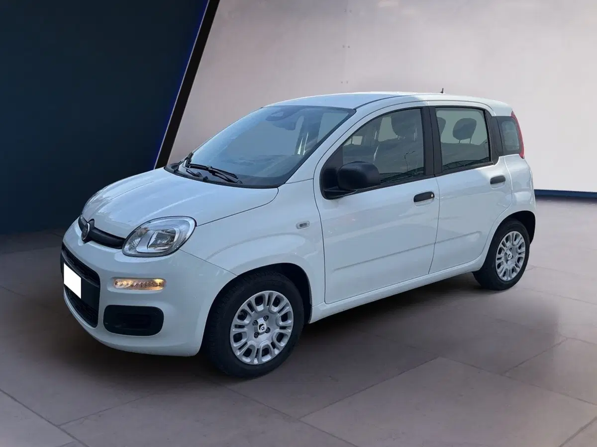 Fiat Pandina usata a Torino (3)