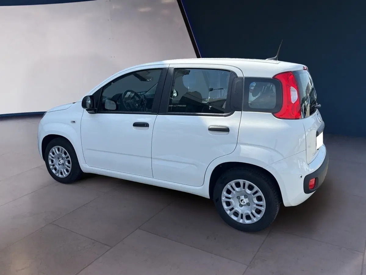 Fiat Pandina usata a Torino (4)