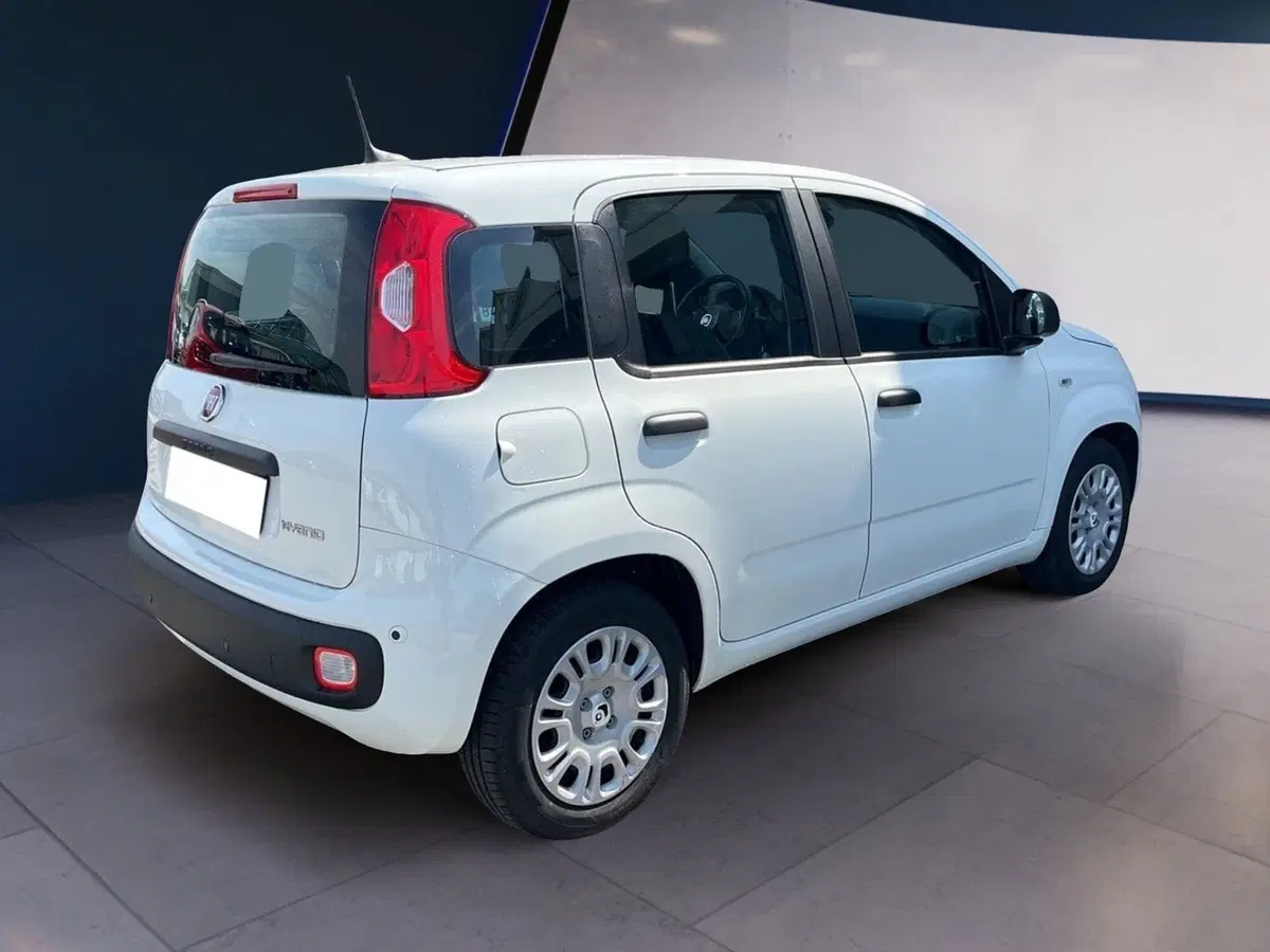 Fiat Pandina usata a Torino (6)