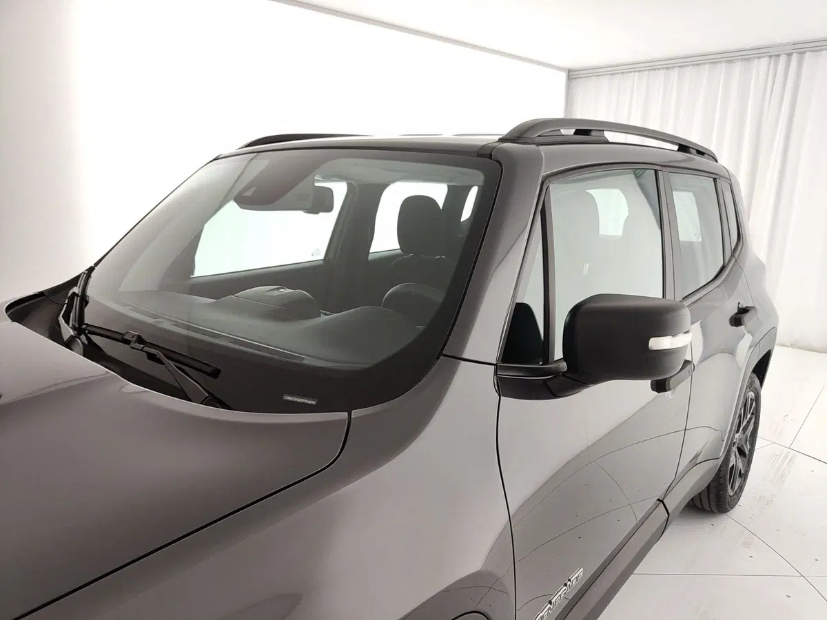 Jeep Renegade usata a Caserta (14)