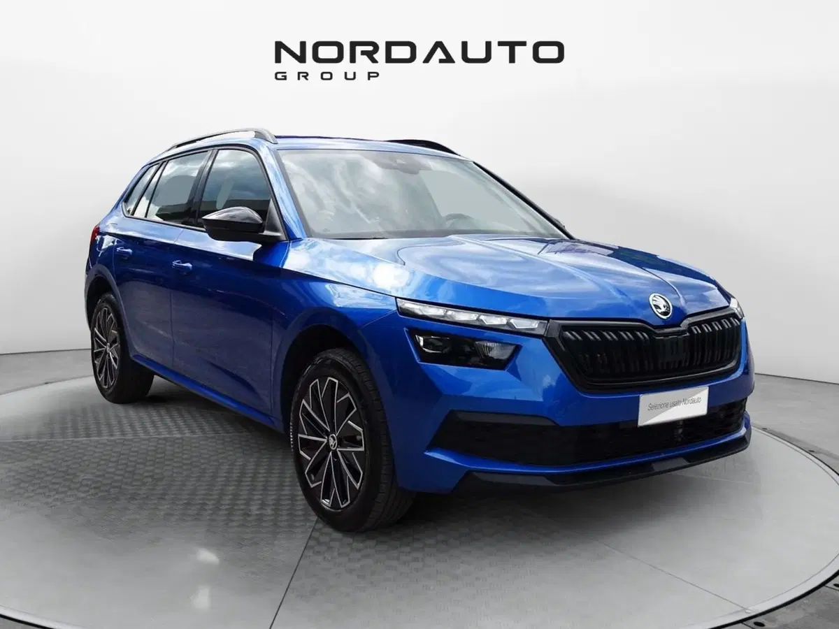 Skoda Kamiq usata a Belluno (2)