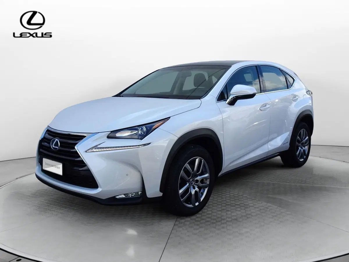 Lexus NX usata a Venezia