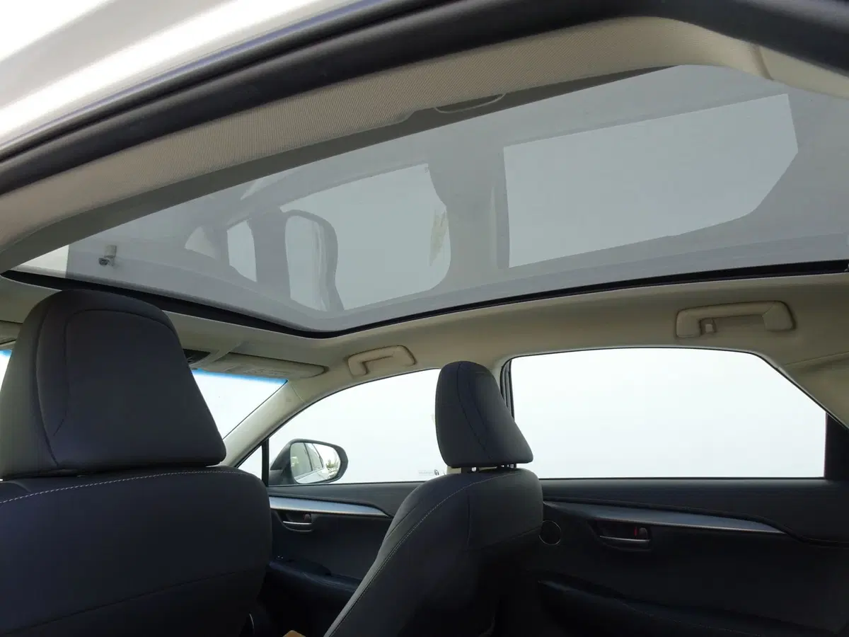 Lexus NX usata a Venezia (11)