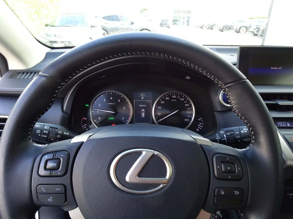 Lexus NX usata a Venezia (13)