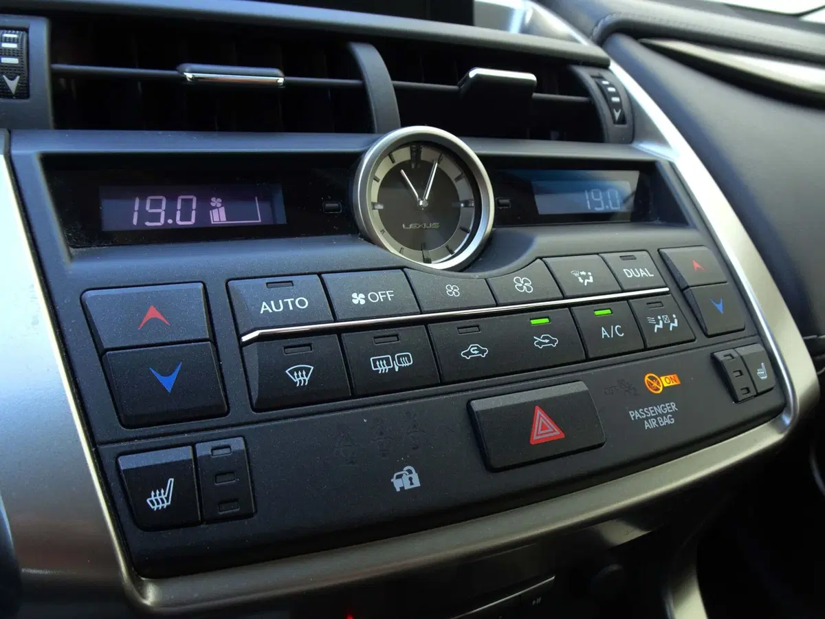 Lexus NX usata a Venezia (19)
