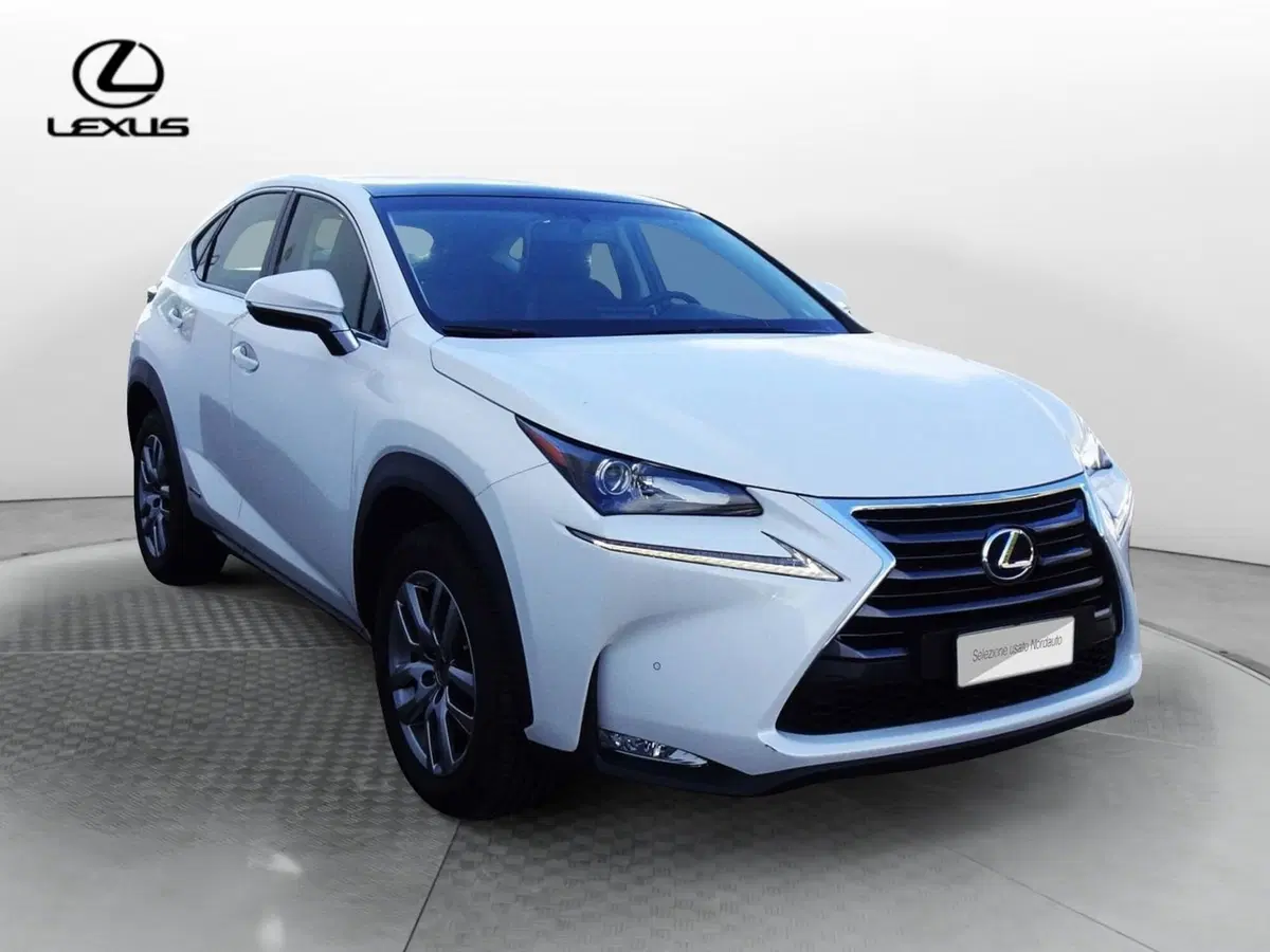 Lexus NX usata a Venezia (2)