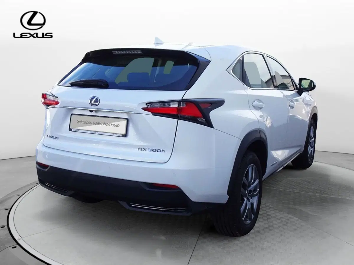Lexus NX usata a Venezia (3)