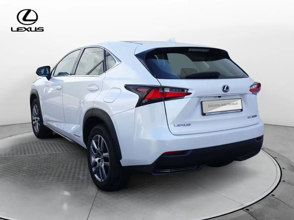 Lexus NX usata a Venezia (4)