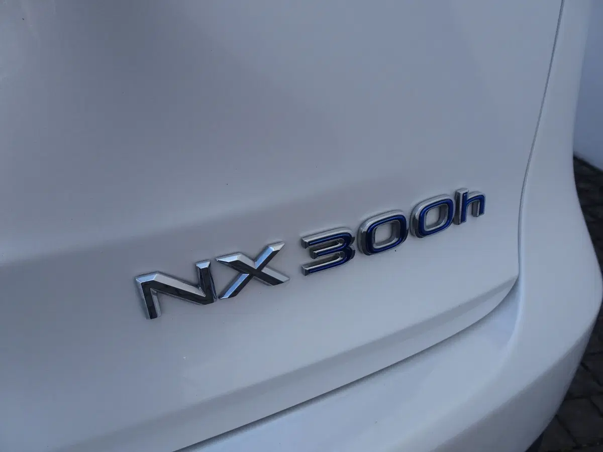 Lexus NX usata a Venezia (6)