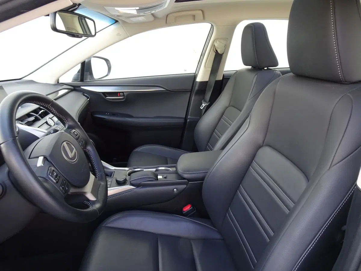 Lexus NX usata a Venezia (8)