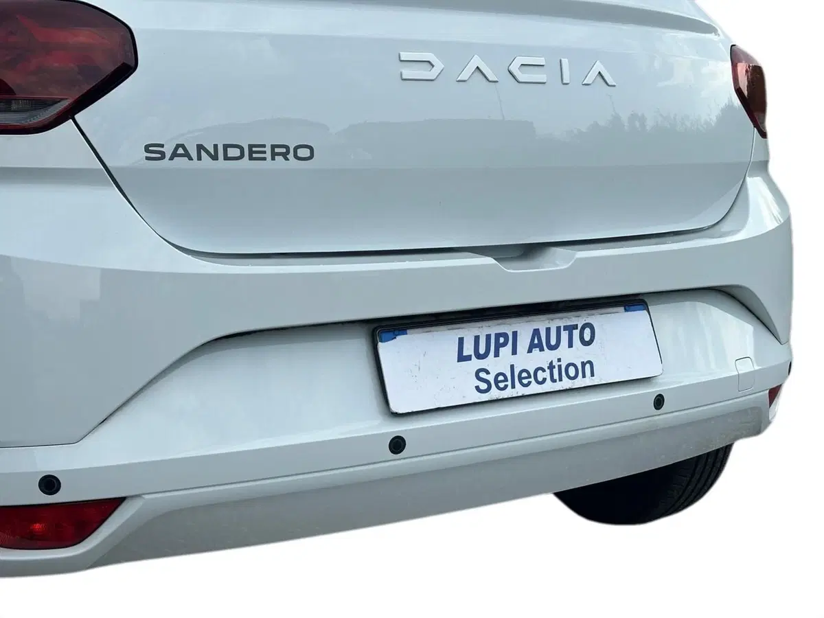 Dacia Sandero usata a Pistoia (14)