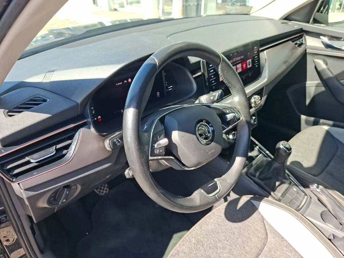 Skoda Kamiq usata a Pescara (15)
