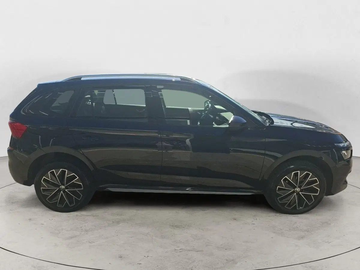 Skoda Kamiq usata a Pescara (6)